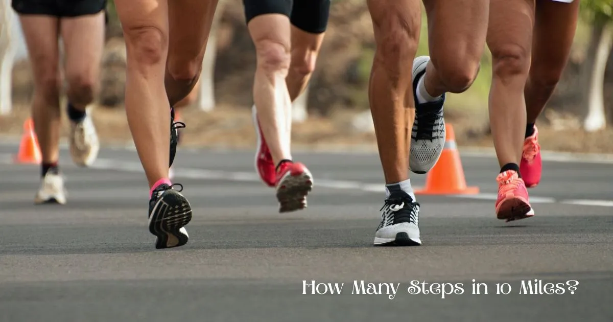 steps-in-10-miles
