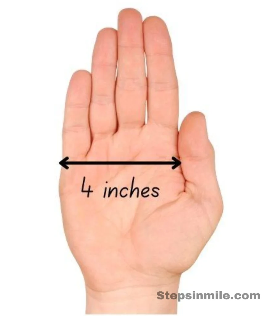 adult-palm-5-inches