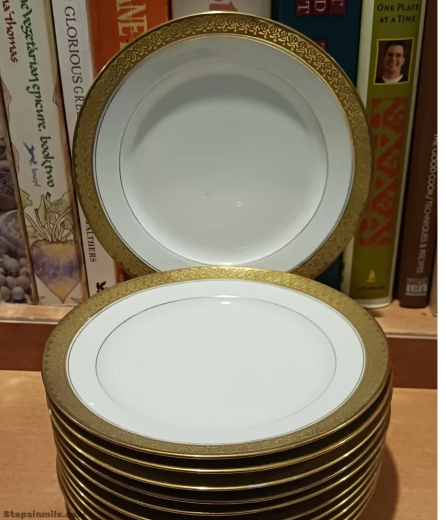 dinner-plate-9-inches