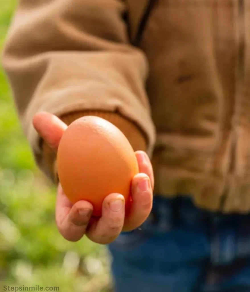 egg-2-ounces