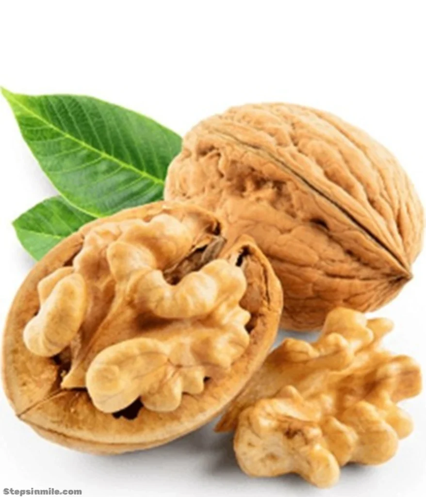 english-walnut-1.375-inches