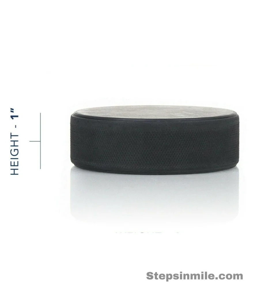 hockey-puck-12-inches