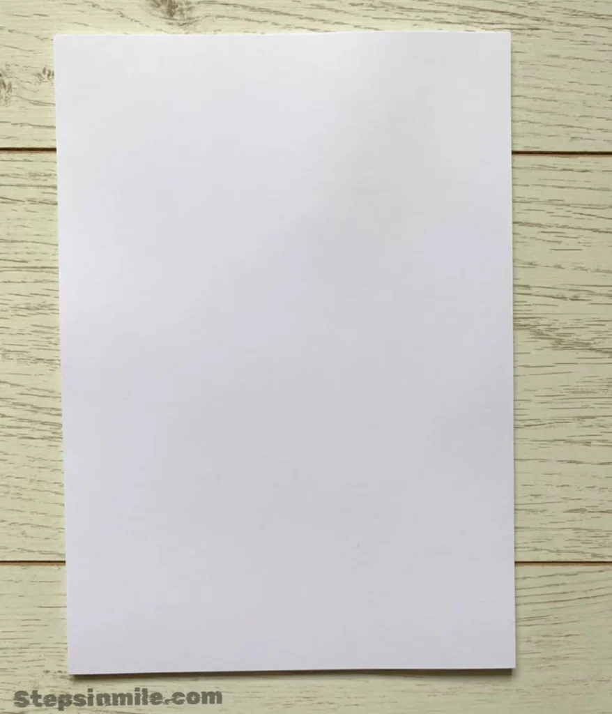 paper-11-inches