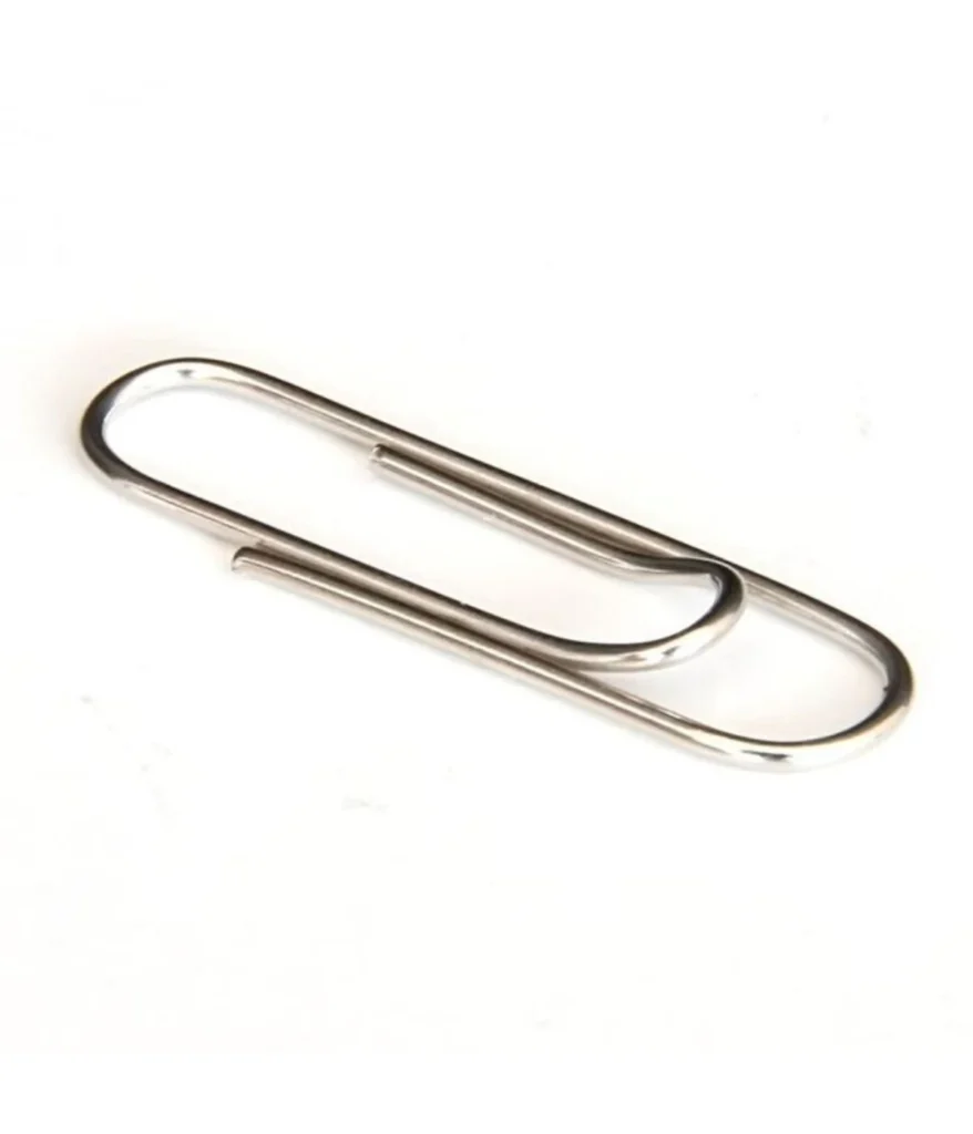 paperclips-1-gram