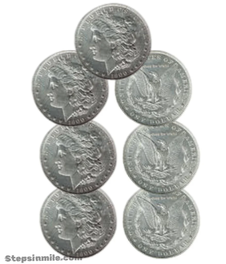 us-quarters-7-inches
