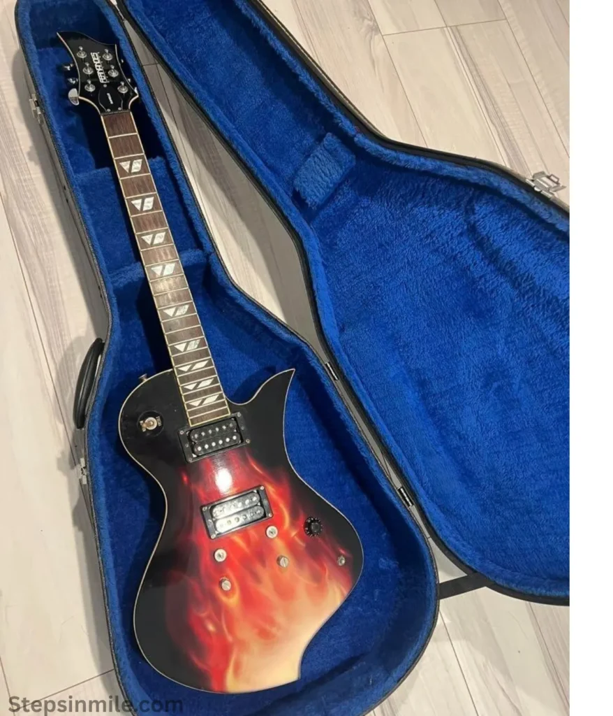 electric-guitar-12-kg