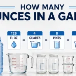 ounces-in-gallon
