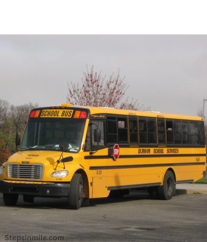 school-bus-50-feet