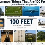 things-that-measure-100-feet