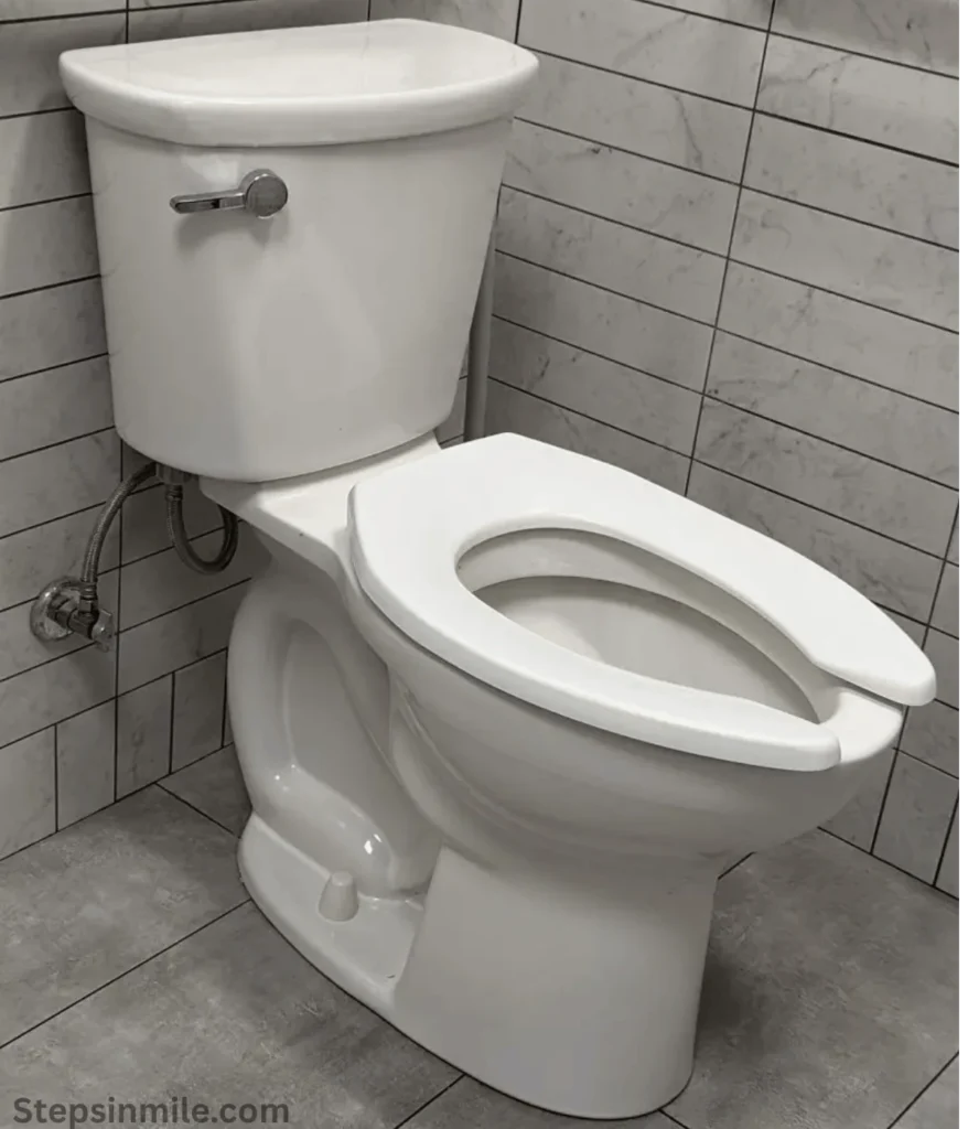 toilet-40-kg