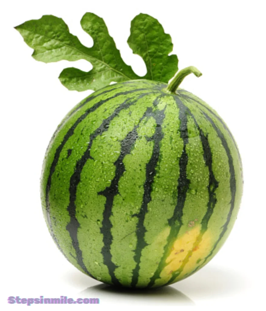 watermelon-50-ounces